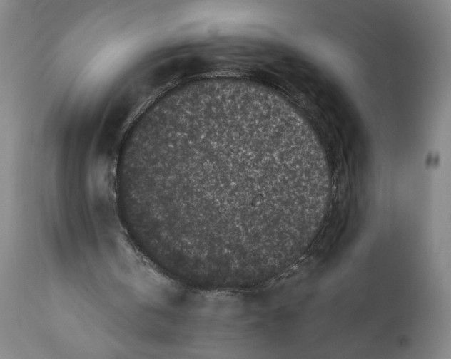 X0000111010146200907101324