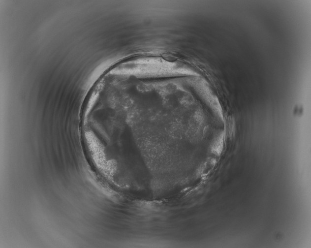 X0000111010147200907101324