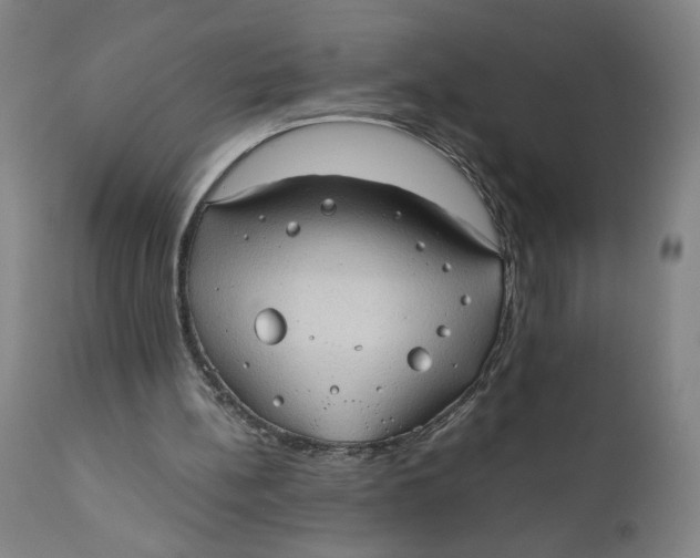 X0000111010148200907101324