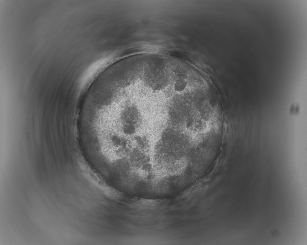 X0000111010149200907101324