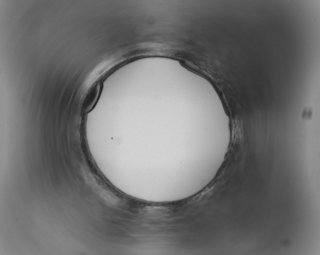 X0000111010150200907101324