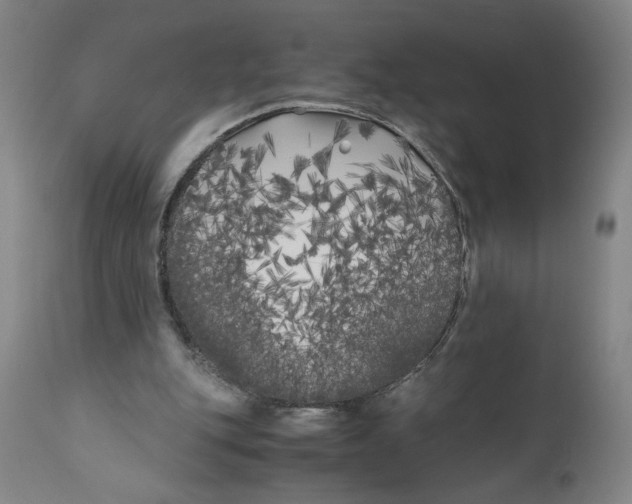 X0000111010151200907101324