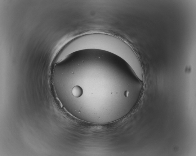X0000111010152200907101324