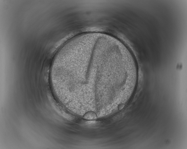 X0000111010153200907101324