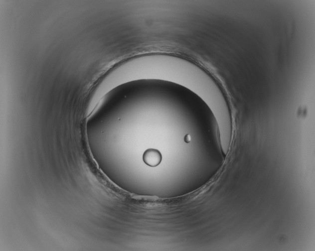X0000111010154200907101324