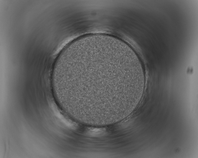 X0000111010155200907101324