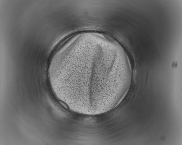 X0000111010156200907101324