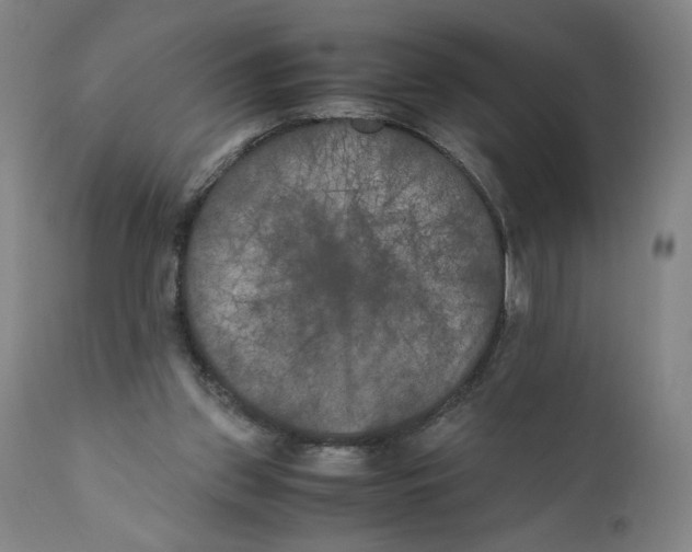 X0000111010157200907101324