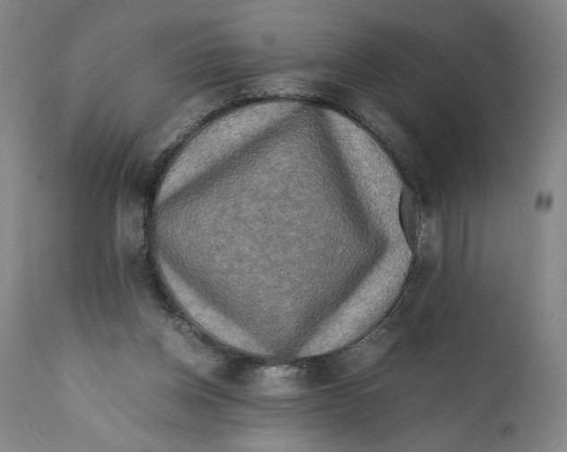 X0000111010158200907101324