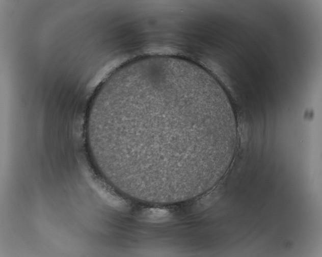 X0000111010159200907101324