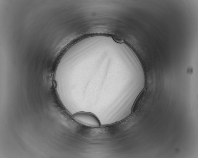 X0000111010160200907101324