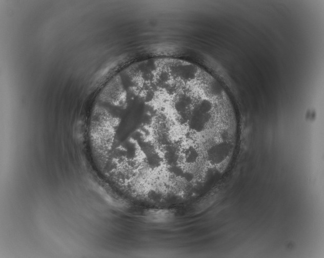 X0000111010161200907101324