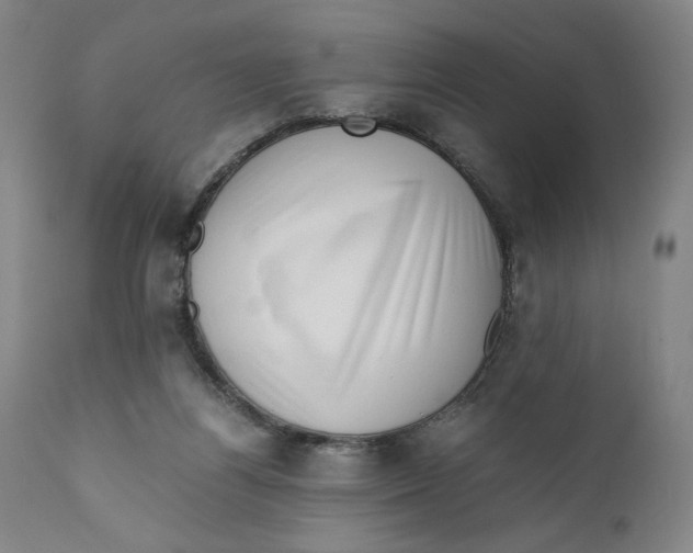 X0000111010164200907101324