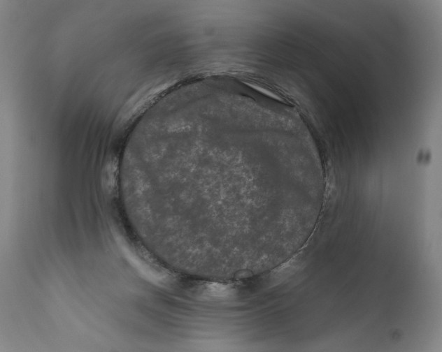 X0000111010166200907101324