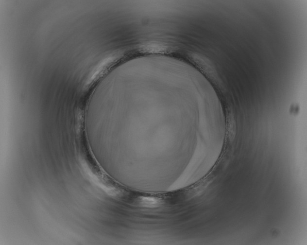 X0000111010167200907101324