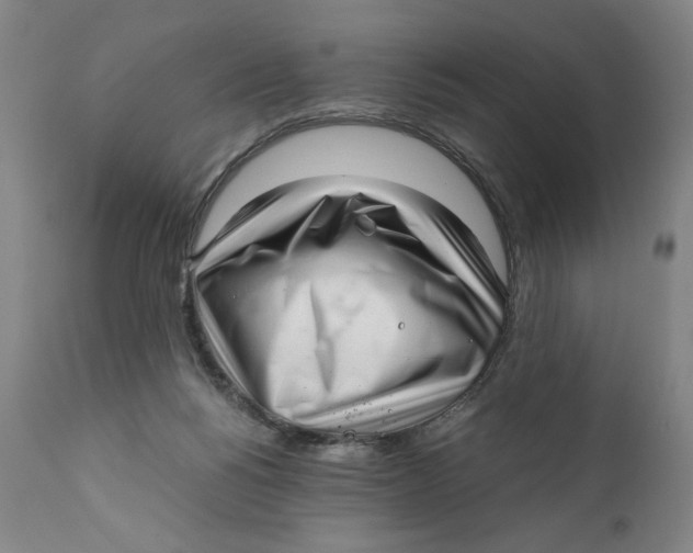 X0000111010168200907101324