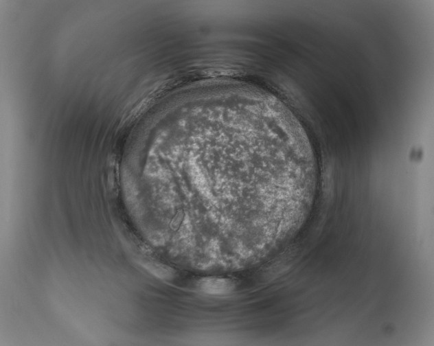 X0000111010169200907101324
