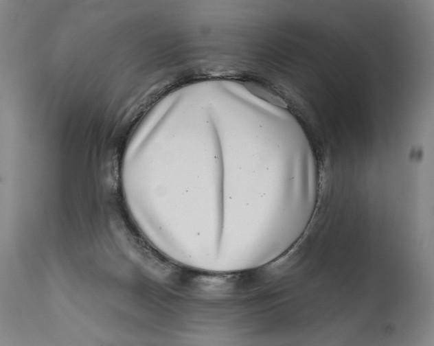 X0000111010170200907101324