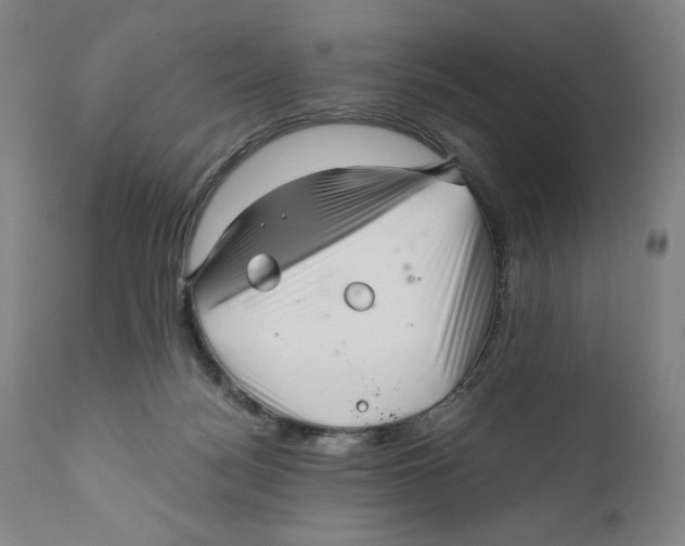 X0000111010172200907101324