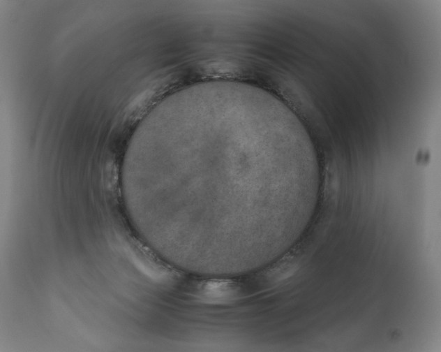 X0000111010173200907101325