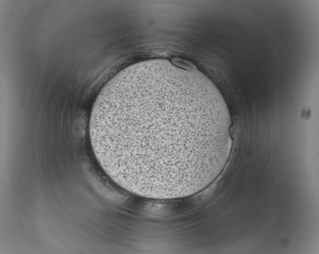 X0000111010174200907101325