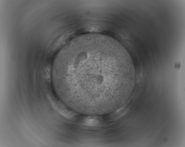 X0000111010175200907101325