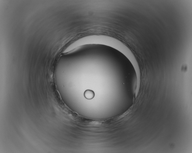 X0000111010176200907101325