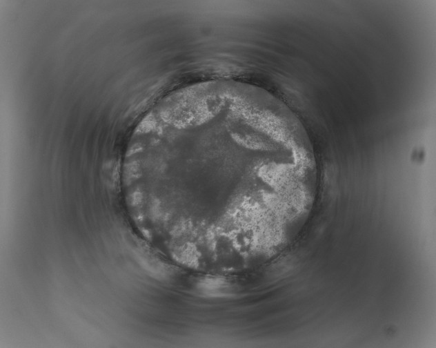 X0000111010177200907101325