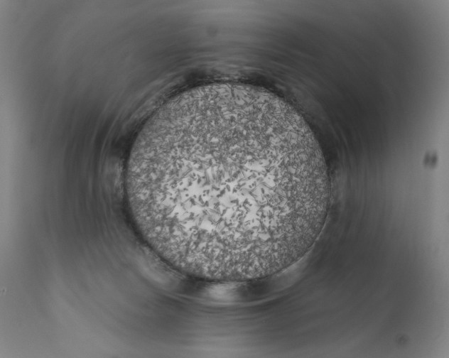 X0000111010178200907101325
