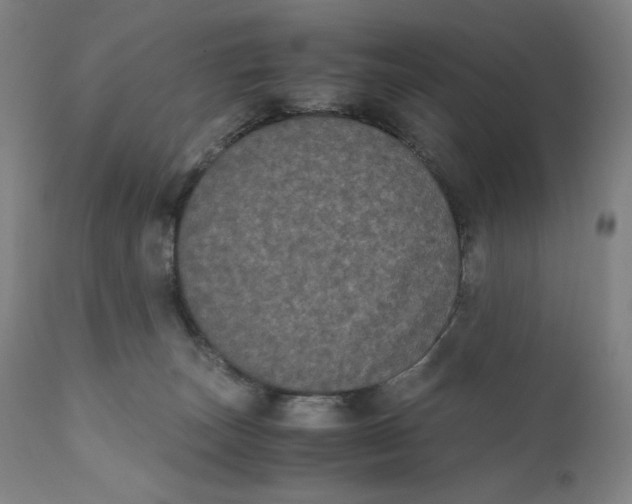 X0000111010179200907101325