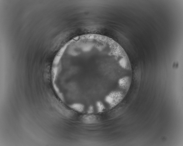 X0000111010181200907101325