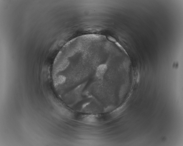 X0000111010182200907101325