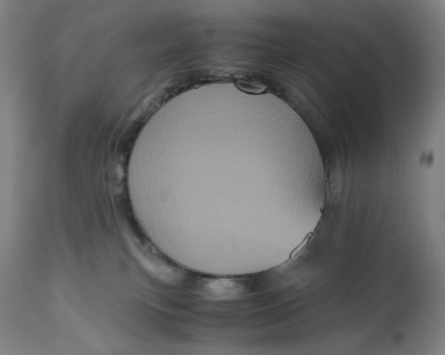 X0000111010183200907101325