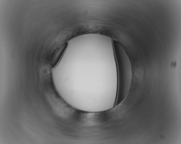 X0000111010184200907101325