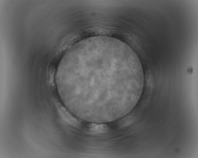 X0000111010185200907101325