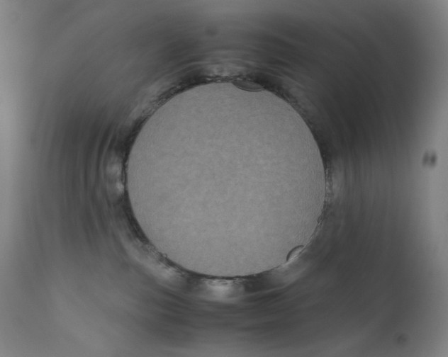 X0000111010187200907101325