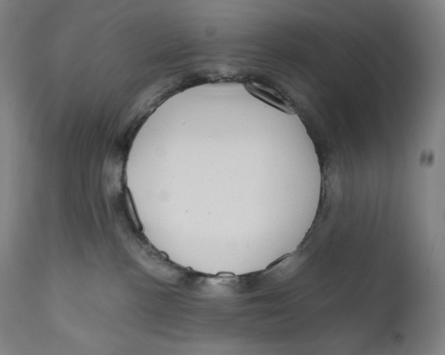 X0000111010188200907101325