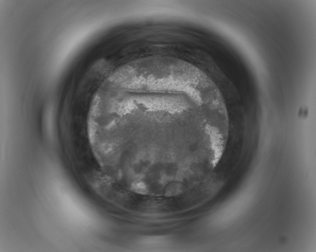 X0000111010189200907101325