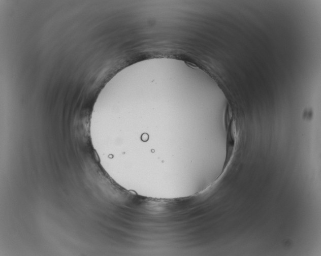 X0000111010190200907101325
