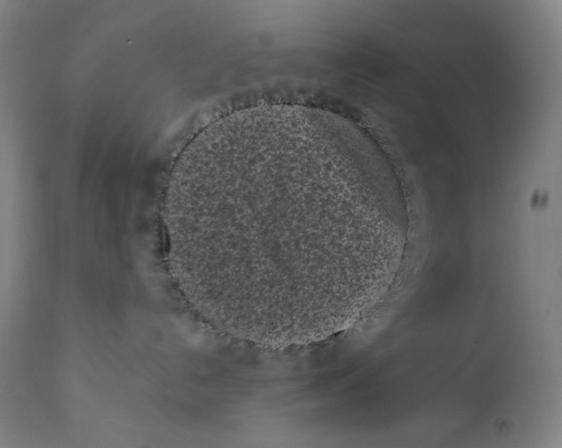 X0000111010192200907101325