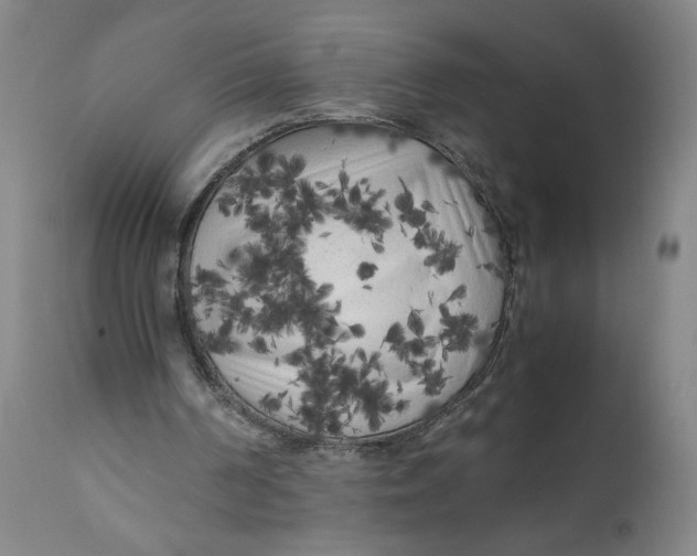 X0000111010194200907101324