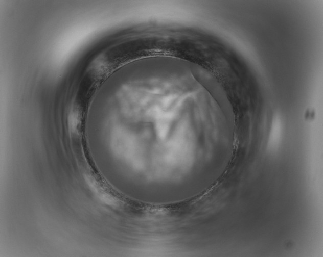 X0000111010195200907101324