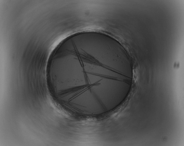 X0000111010196200907101324