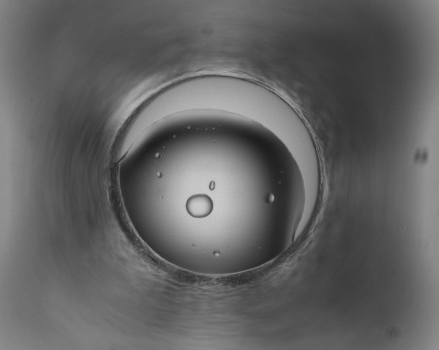 X0000111010199200907101324