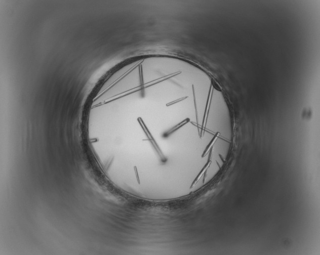 X0000111010200200907101324