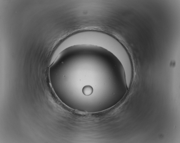 X0000111010201200907101324