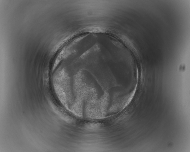 X0000111010202200907101324