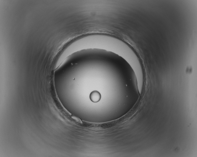 X0000111010203200907101324