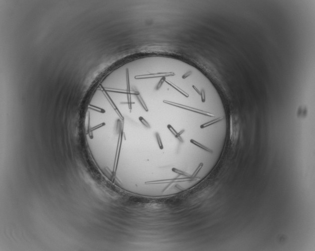 X0000111010204200907101324