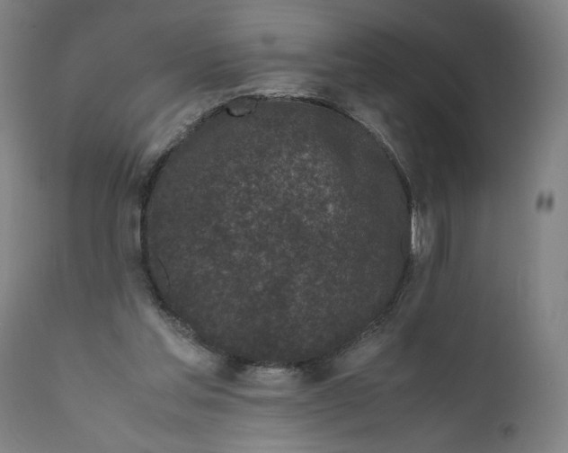 X0000111010205200907101324
